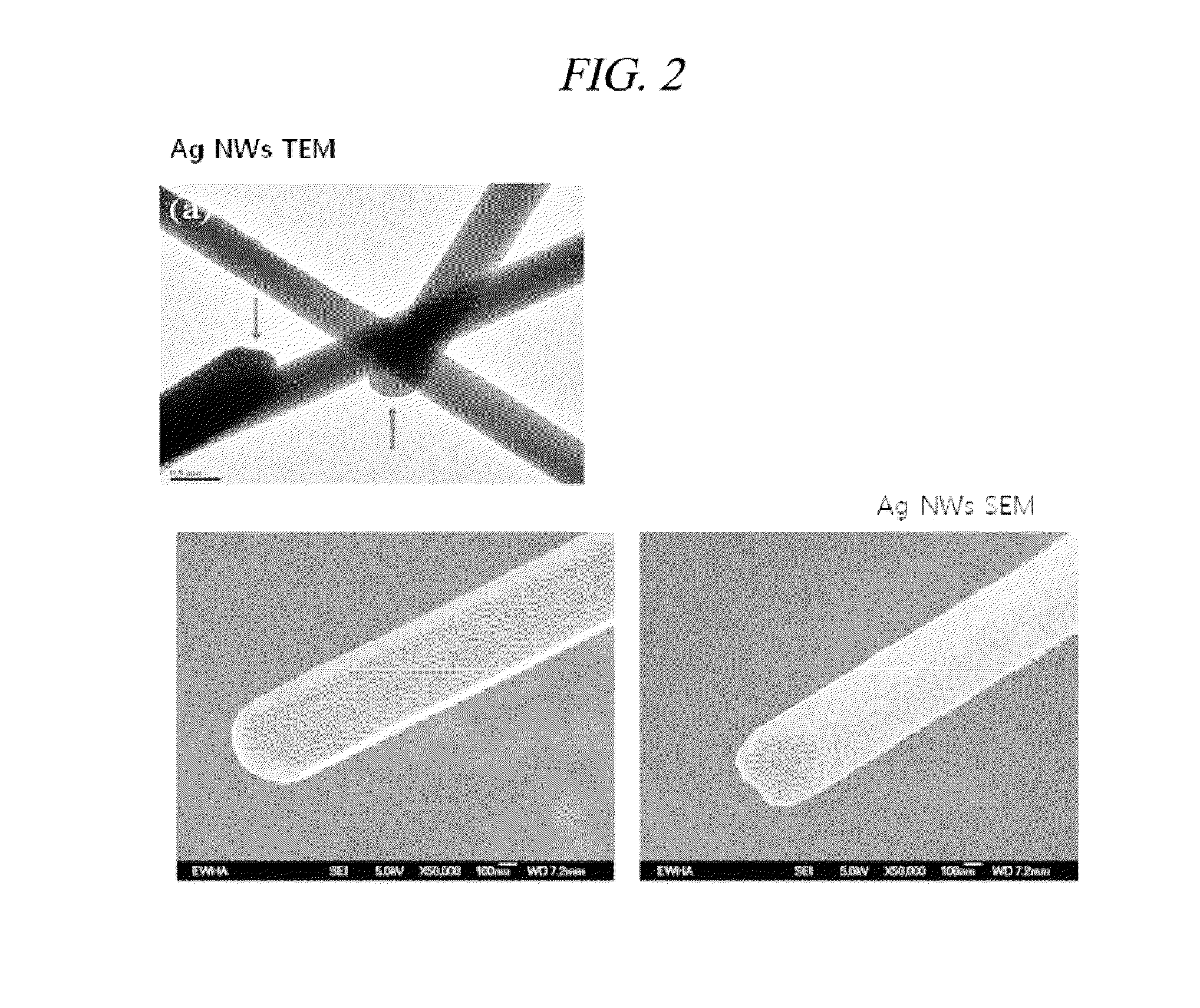 Electrocatalyst for oxygen reduction including silver/silver halide composite, fuel cell including the same, and preparing method of the same