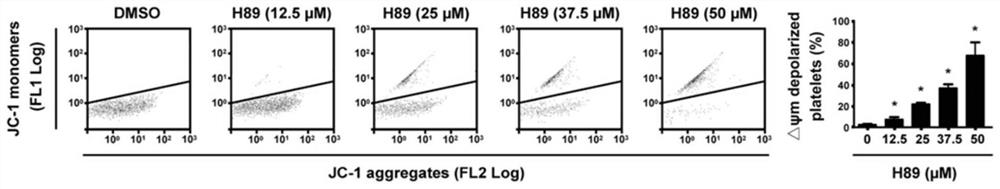 Use of protein kinase A activator in the preparation of medicines for the treatment of diseases related to thrombocytopenia