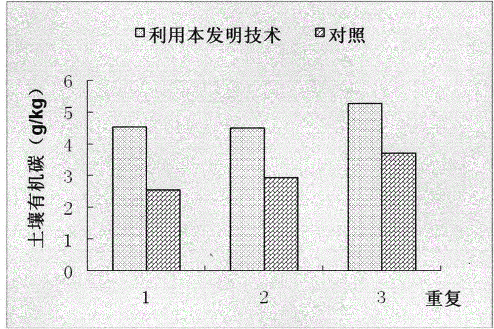 Method for promoting grassiness to overwinter in situ at Jiangsu coastal mud flat