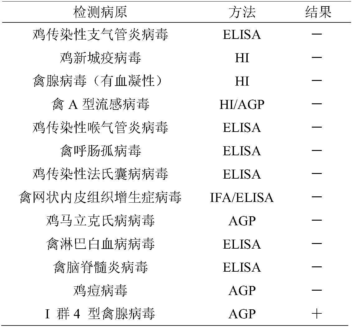 Group I avian adenovirus type 4 strain and application thereof