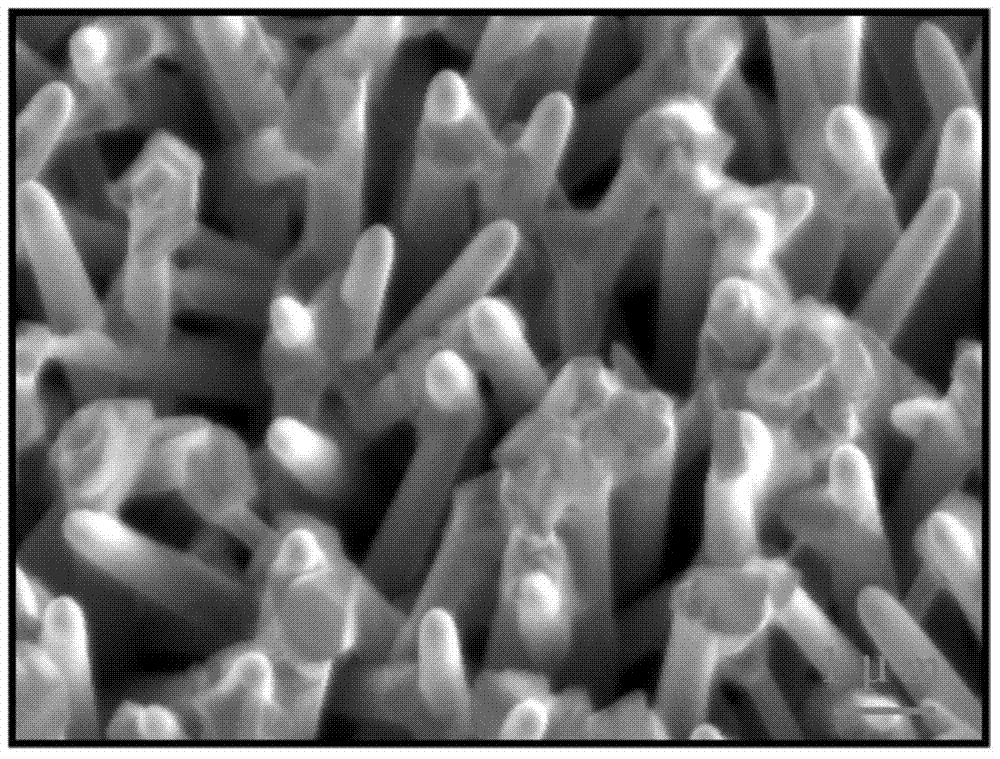 A preparation method of uniformly doped one-dimensional dilute magnetic semiconductor material