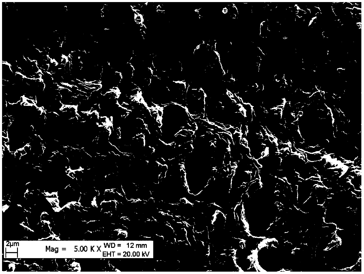 A kind of Haloxylon xylem scanning electron microscope sample preparation method