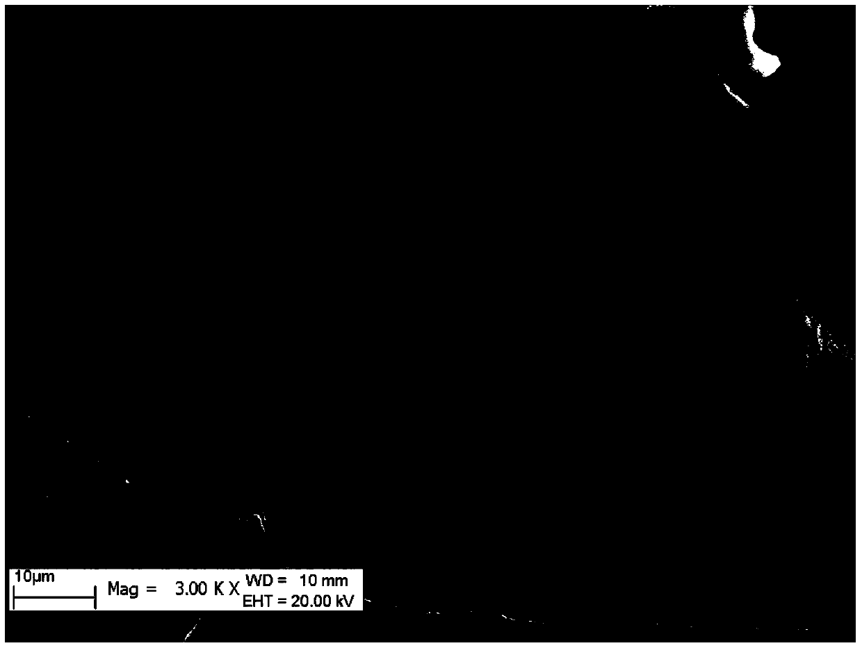 A kind of Haloxylon xylem scanning electron microscope sample preparation method