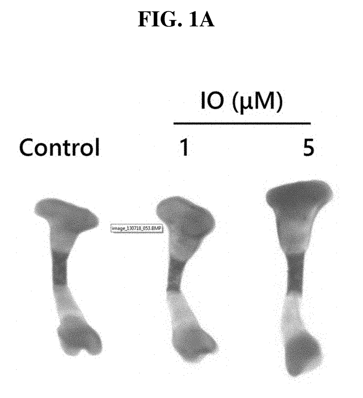 Small molecule, indirubin-3-oxime, for prevention and treatment of bone disease