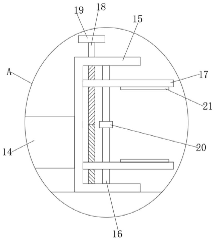 A kind of slicer for preparing Chinese herbal medicine pieces