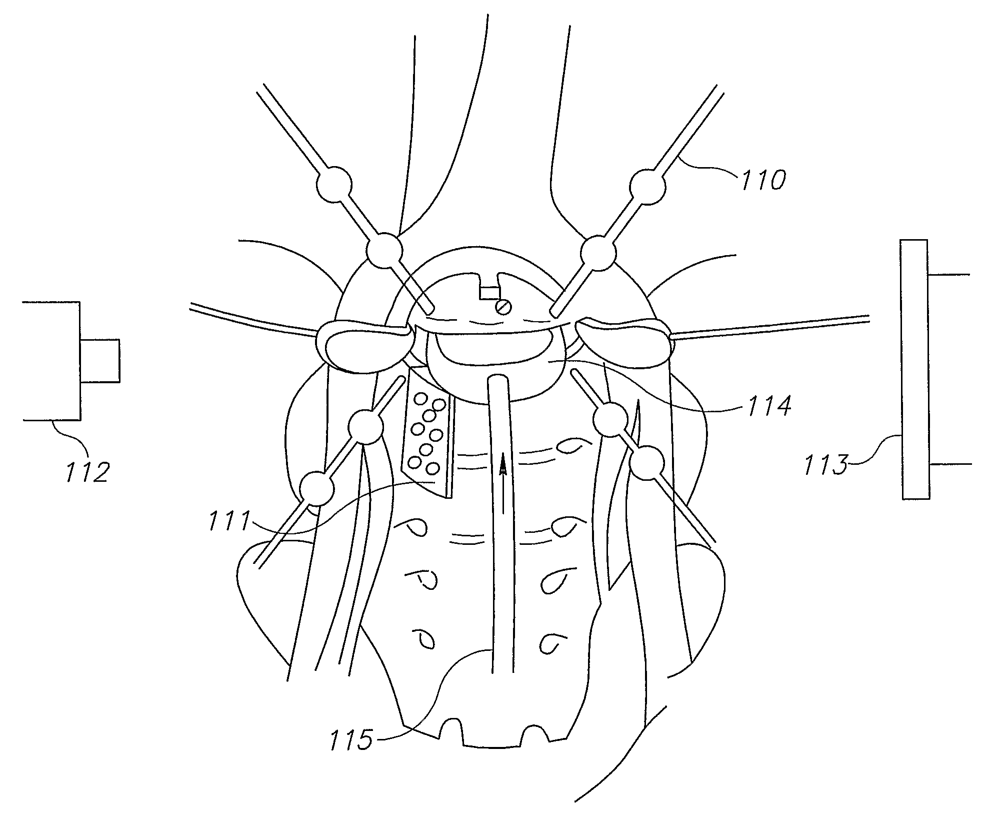 System for positioning of surgical inserts and tools