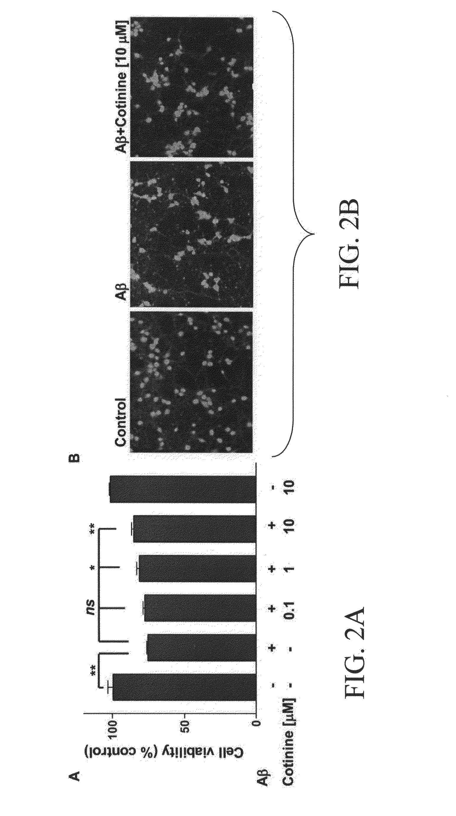 Materials and methods for diagnosis, prevention and/or treatment of stress disorders and conditions associated with abeta peptide aggregation