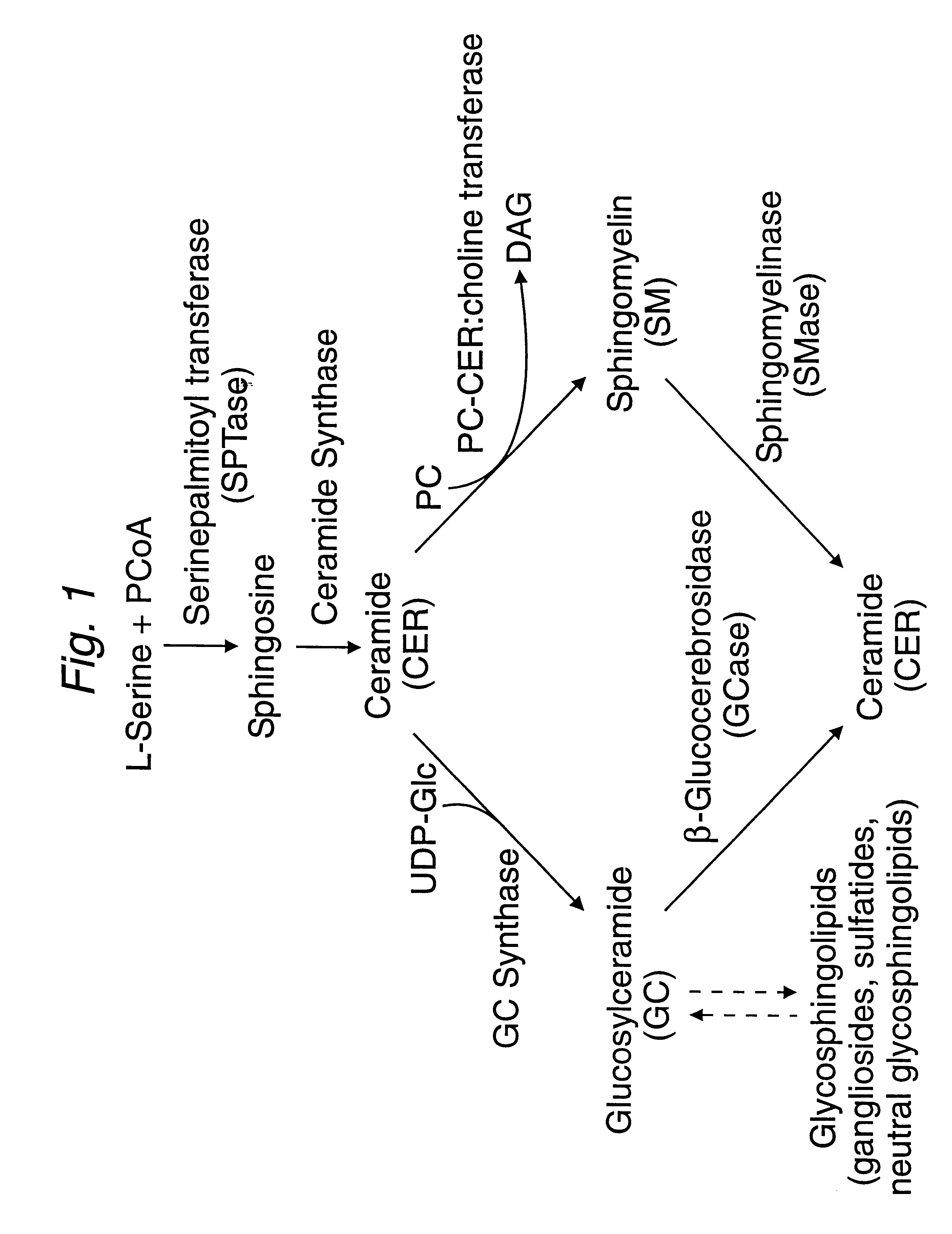 Methods and compositions for stimulating tissue growth and epithelial moisturization