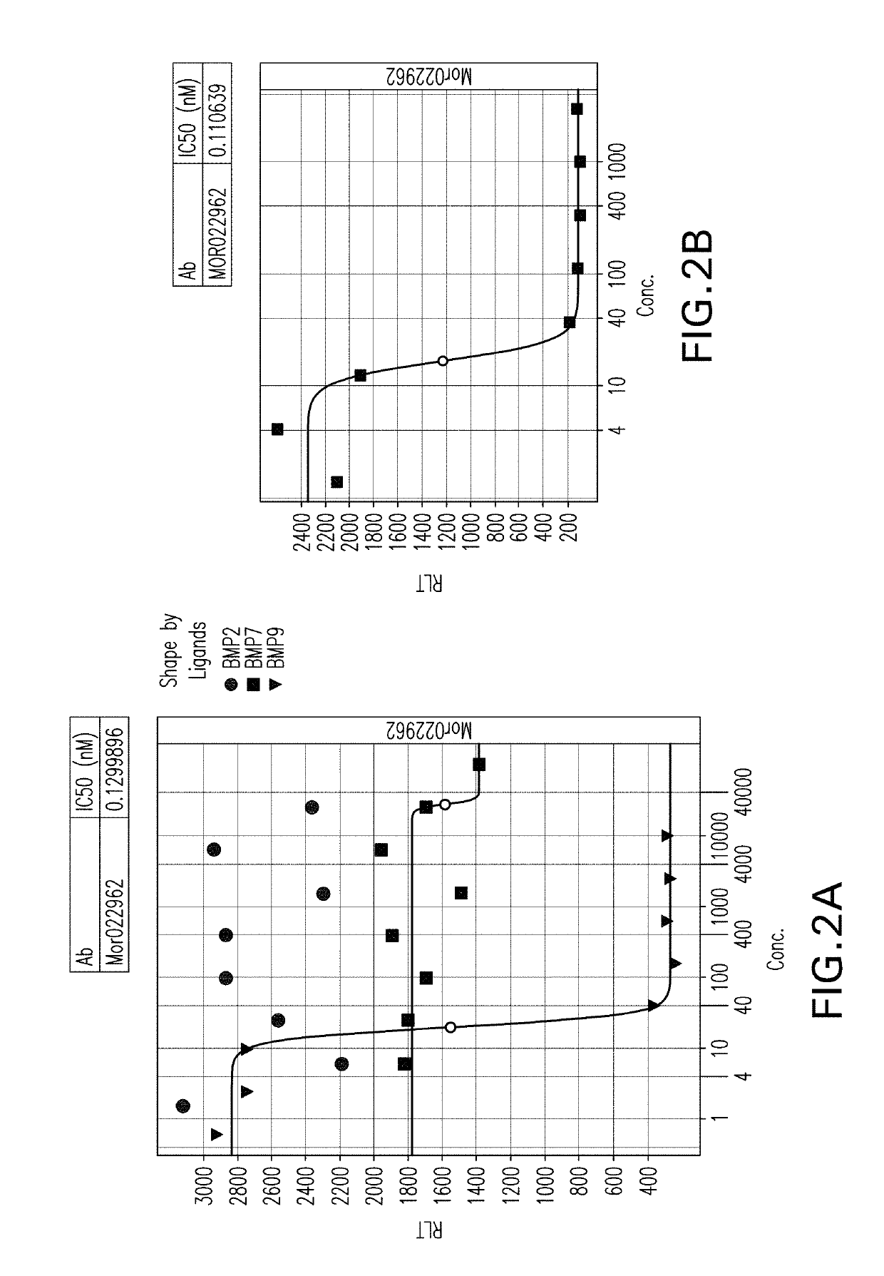 Antibodies targeting bone morphogenetic protein 9 (BMP9) and methods therefor