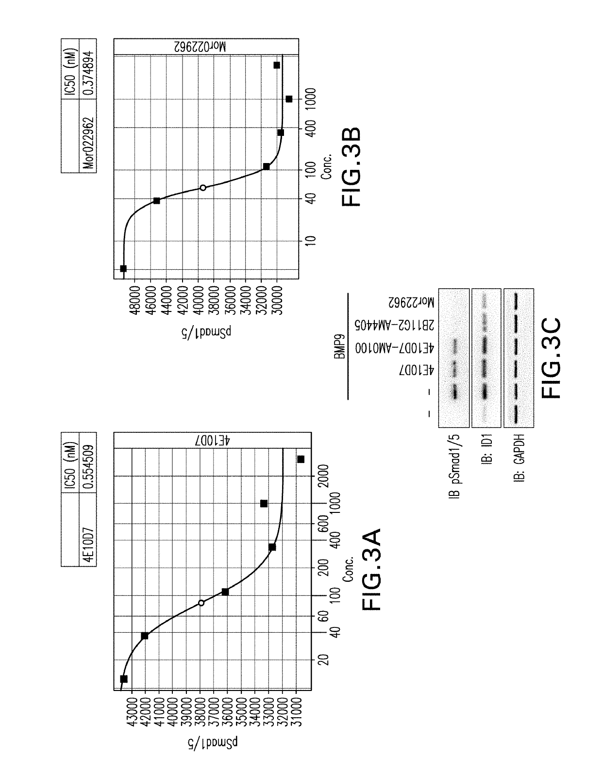 Antibodies targeting bone morphogenetic protein 9 (BMP9) and methods therefor