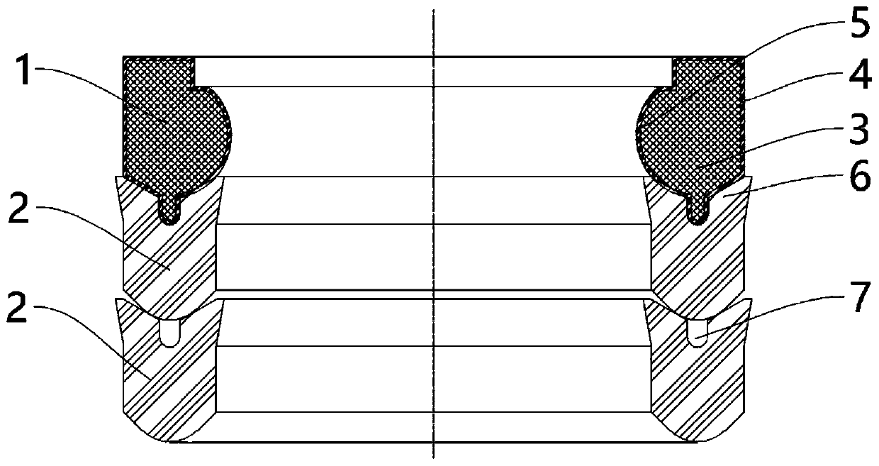 Sealing ring of plunger fracturing pump