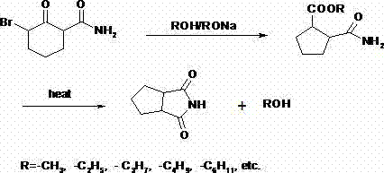 Preparation method of 1,2-cyclopentane dicarboximide