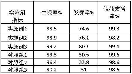 Method for increasing germination rate of golden camellia cutting seedlings