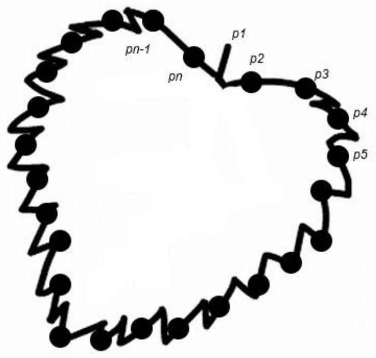 Two-dimensional contour shape recognition and classification method based on local geometric feature sequence modeling