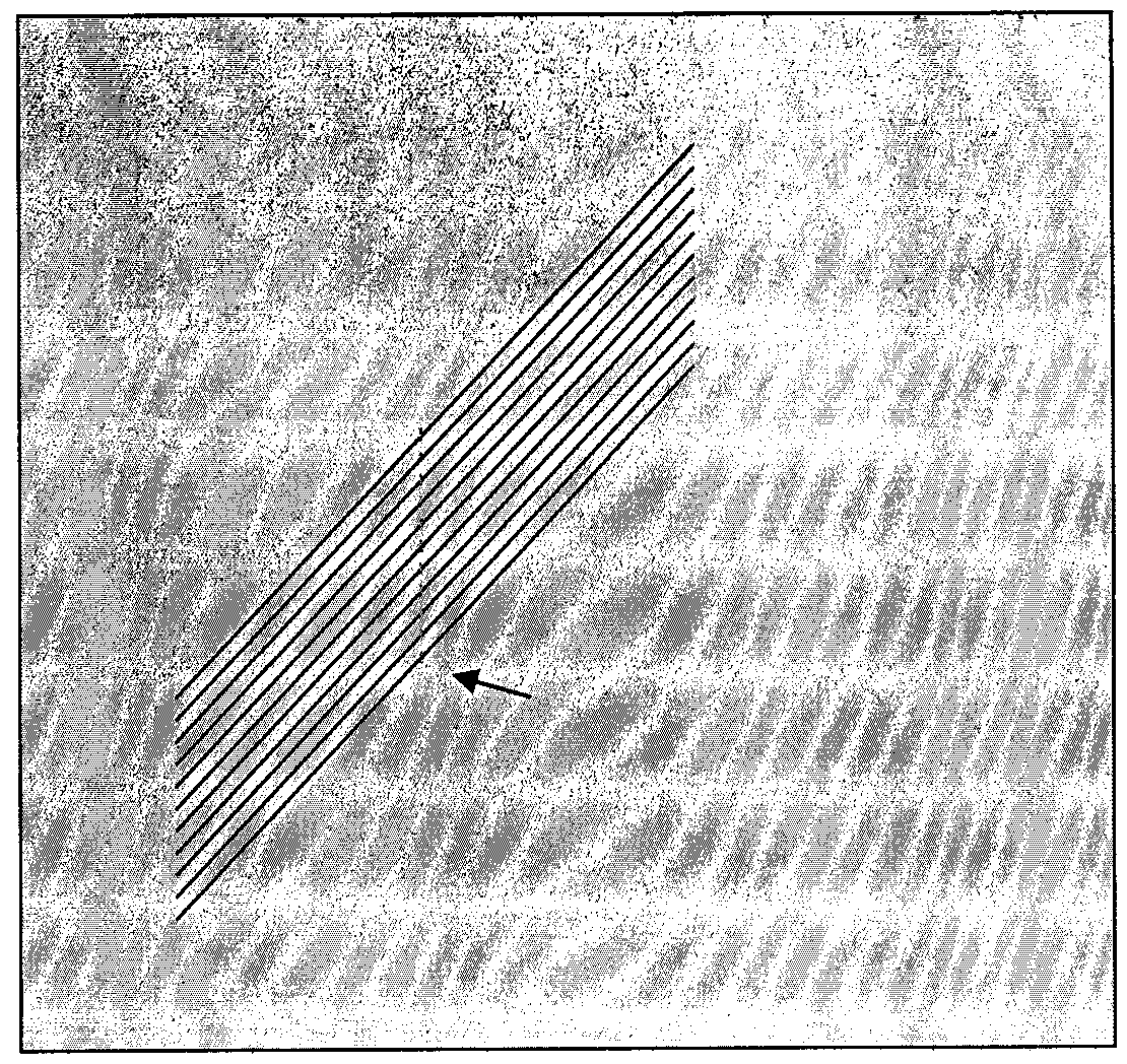 Method for processing faulty wire of X-ray flat panel detector image and device thereof