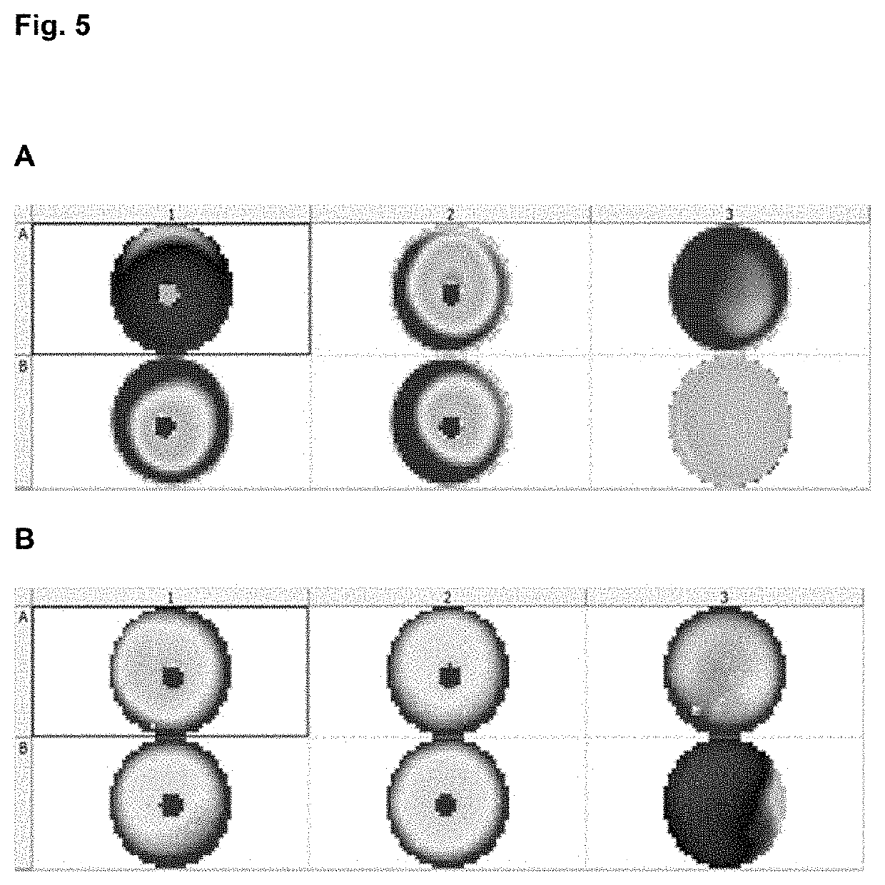 Method for predicting and monitoring clinical response to immunomodulatory therapy