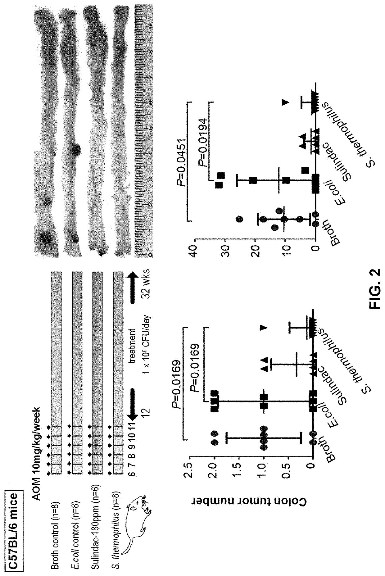 Therapeutic and prophylactic treatment for colorectal cancer