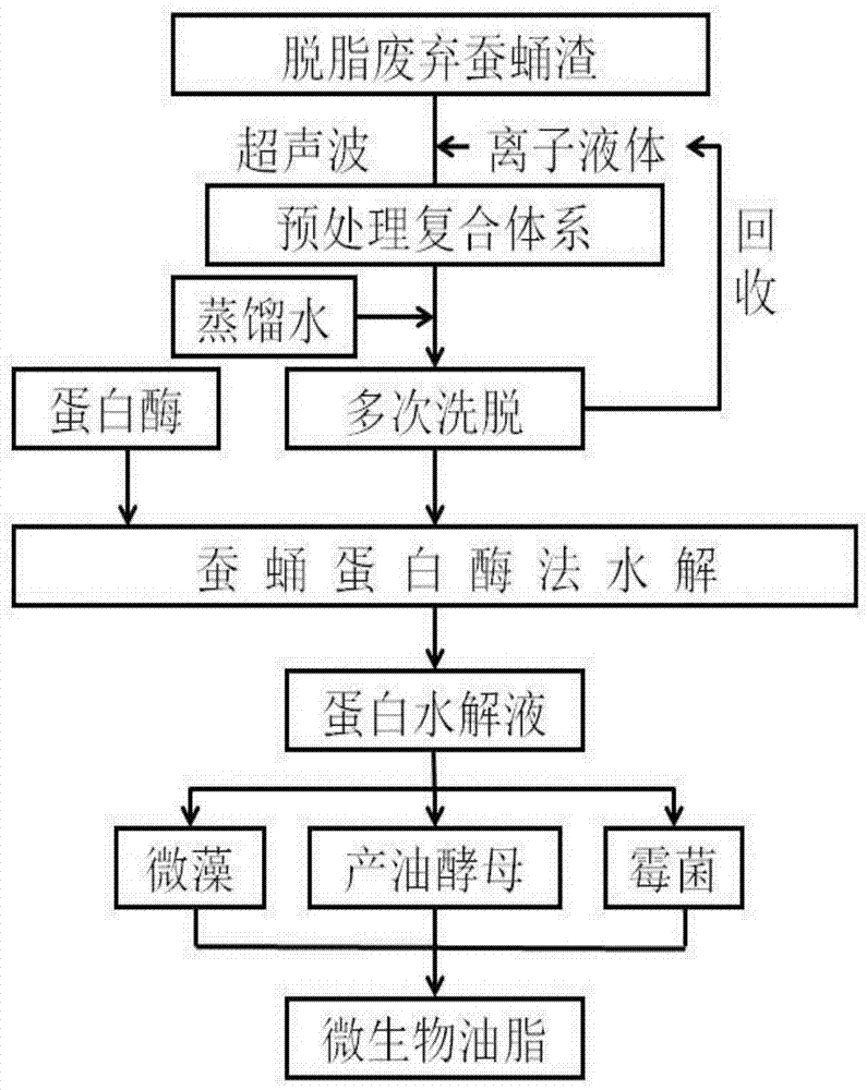 Pretreatment method for culturing oleaginous microorganisms from degreased silkworm chrysalis residues, product obtained by using pretreatment method and applications of product