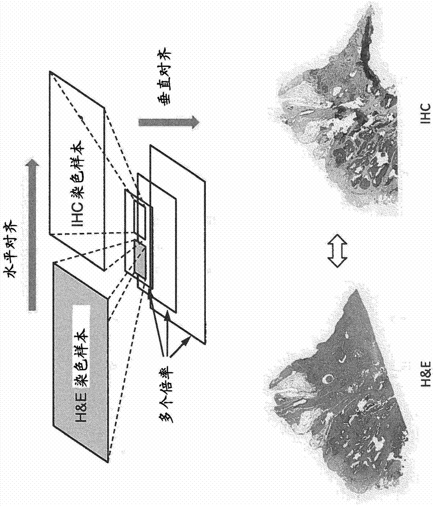 Automatic image alignment