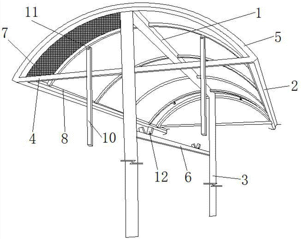 Novel raspberry rain shelter greenhouse for sun and rain