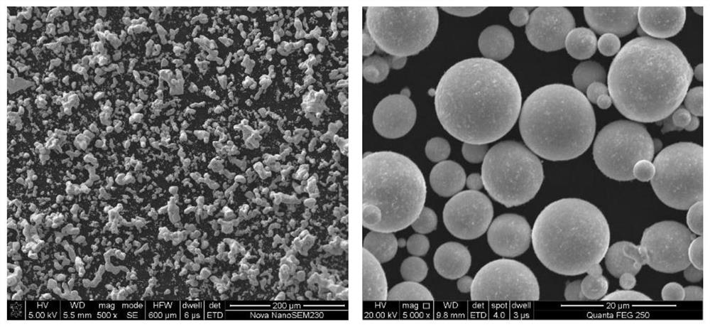 Spherical tantalum powder, preparation thereof and application of spherical tantalum powder in 3D printing