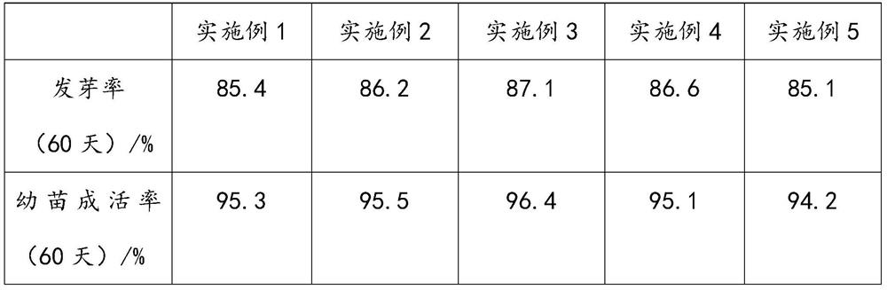 A kind of rose seed breeding method