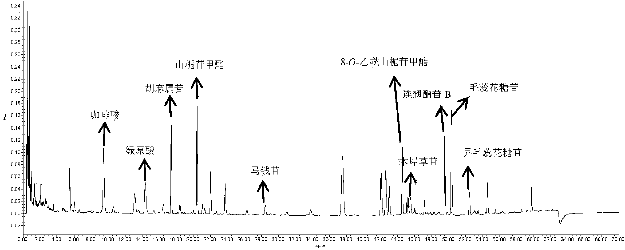 UPLC fingerprint spectrum detection method of lamiophlomis rotata (Benth.)Kudo and preparations thereof