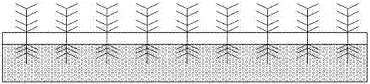 Combined treatment system for cultivation sewage and method thereof