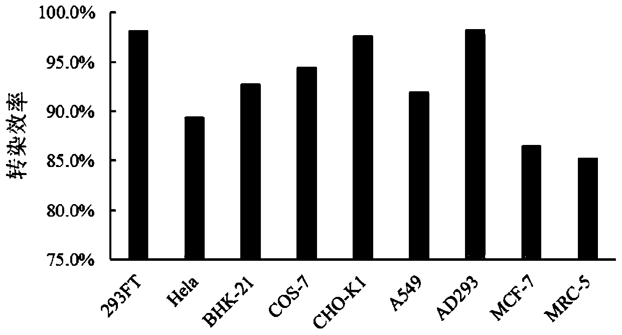 A kind of cationic transfection reagent and its preparation method and application