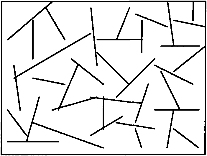 Polymer composite material with oriented padding and preparation method thereof