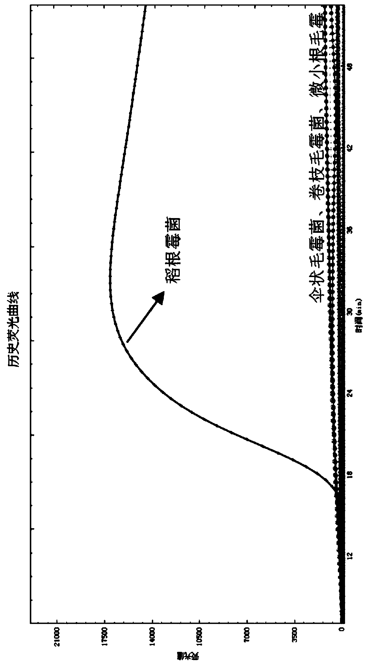 Primer set and application thereof