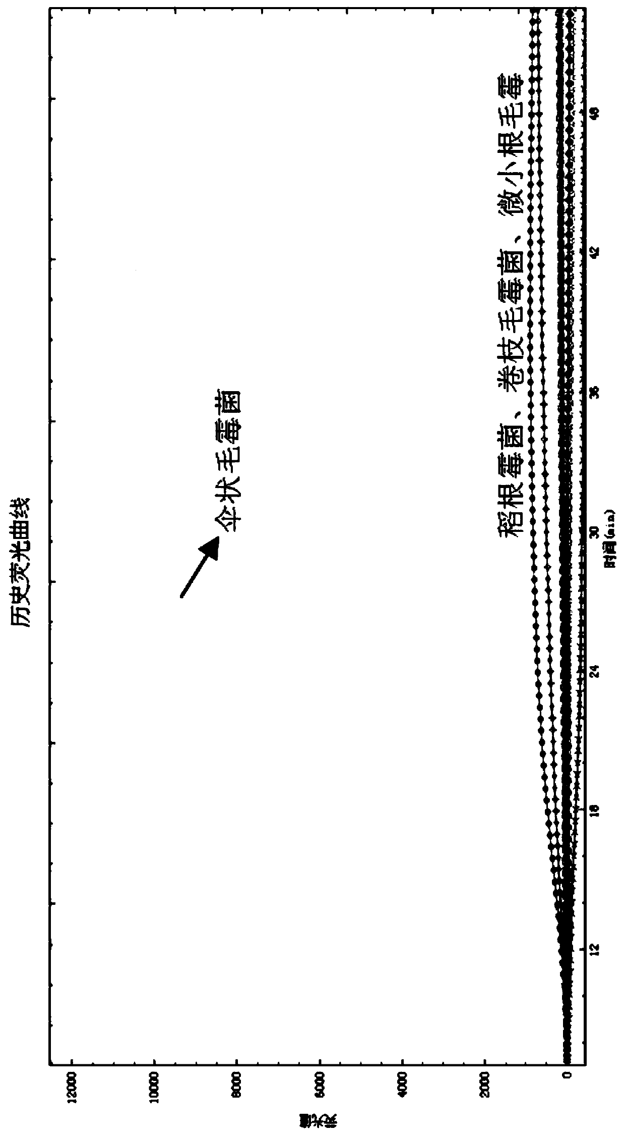 Primer set and application thereof