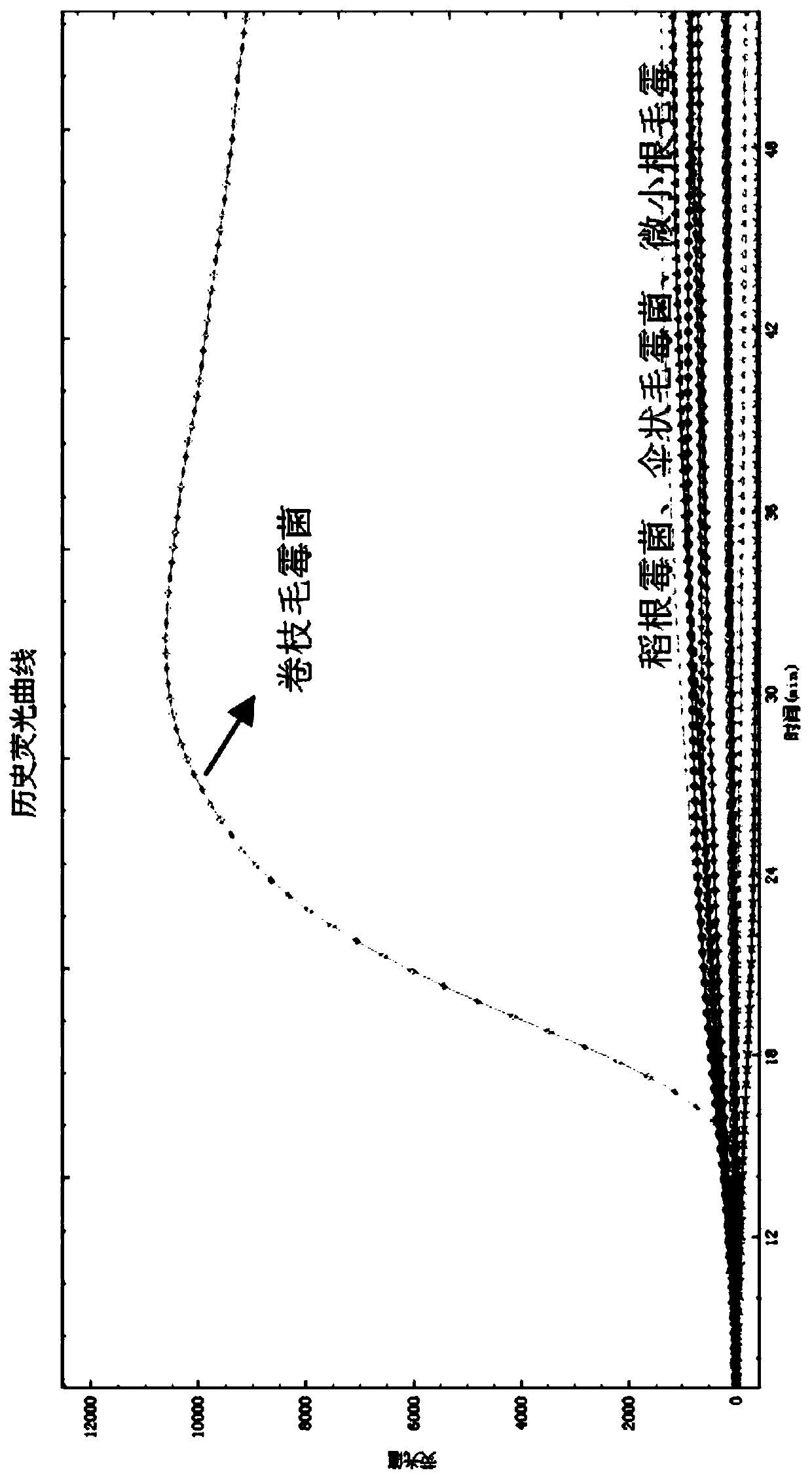 Primer set and application thereof