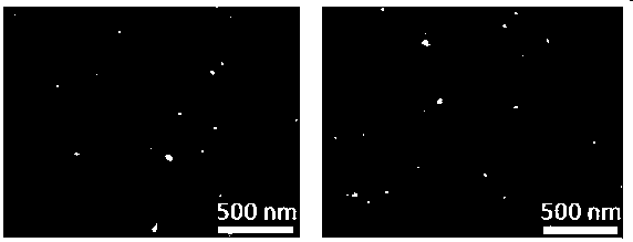 Preparation method of interface-enhanced high-light-heat-stabilized perovskite film