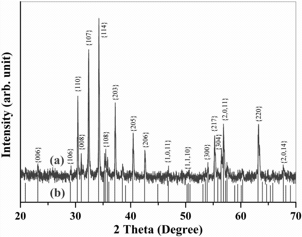 Single-phase multiferroic M-type strontium ferrite ceramic and preparation method thereof