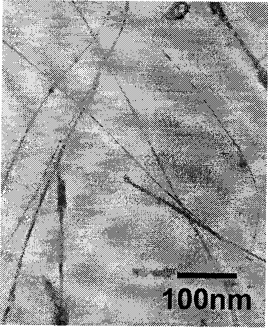 Method for auxiliary preparation of different-shape nano-cerium oxide with microwave