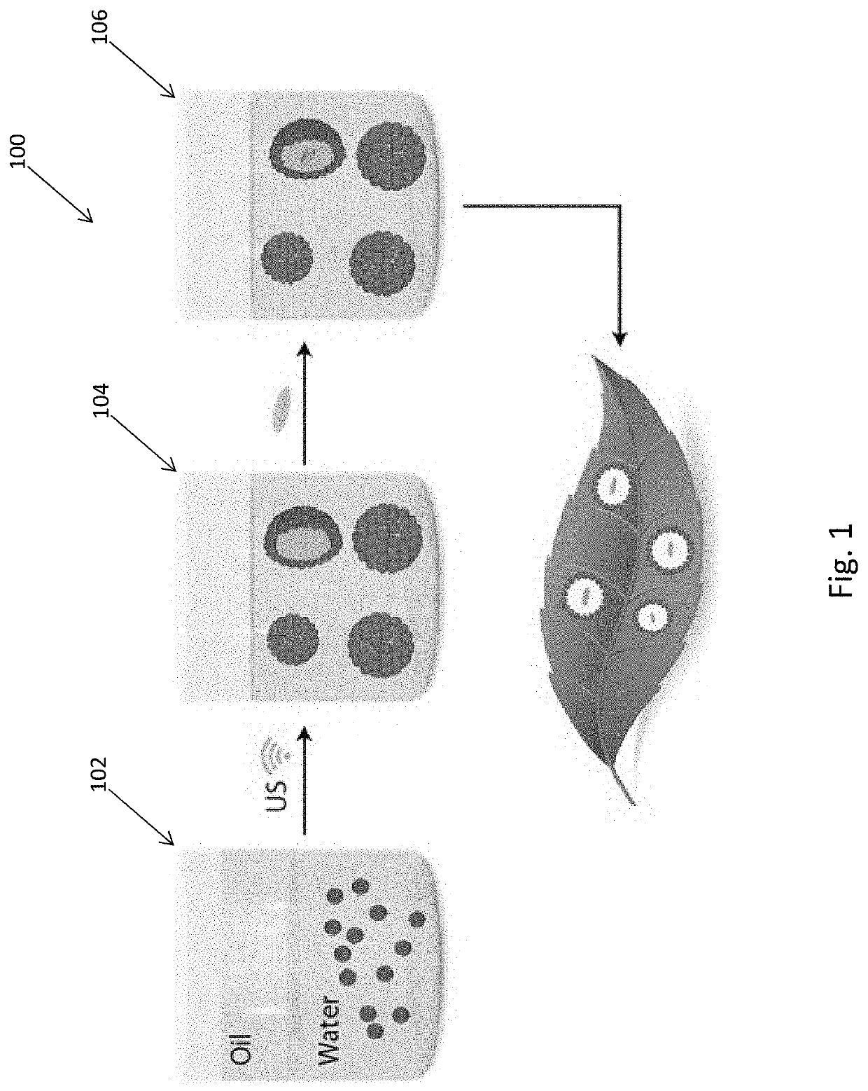 Single cell encapsulation via pickering emulsion for bio-pesticides application