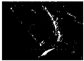 Carbon composite material, and preparation method and application thereof