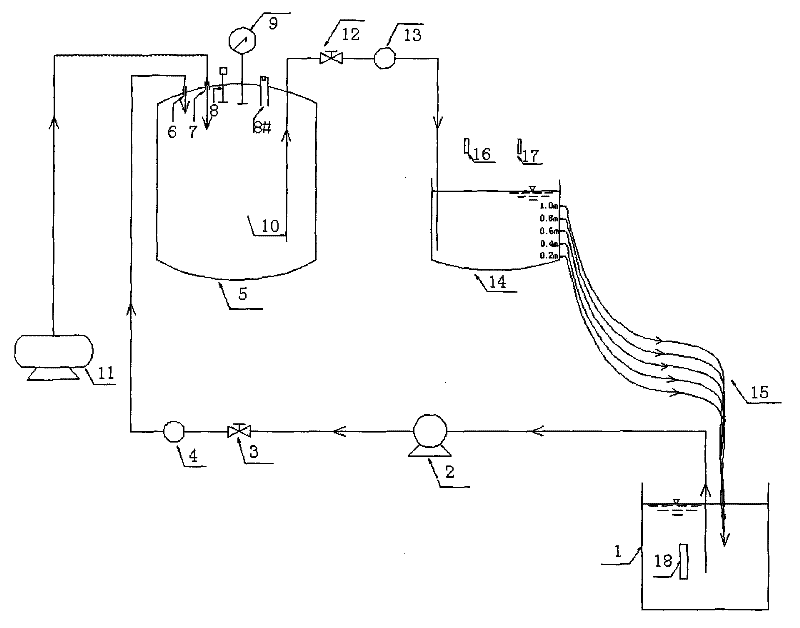 Water body total dissolved gas supersaturation generation and device for studying influence thereof on fish