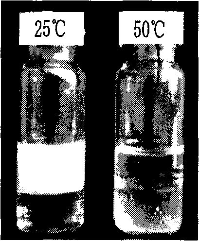 Preparation of amphiphilic copolymer self-assembled micelle wedding agent