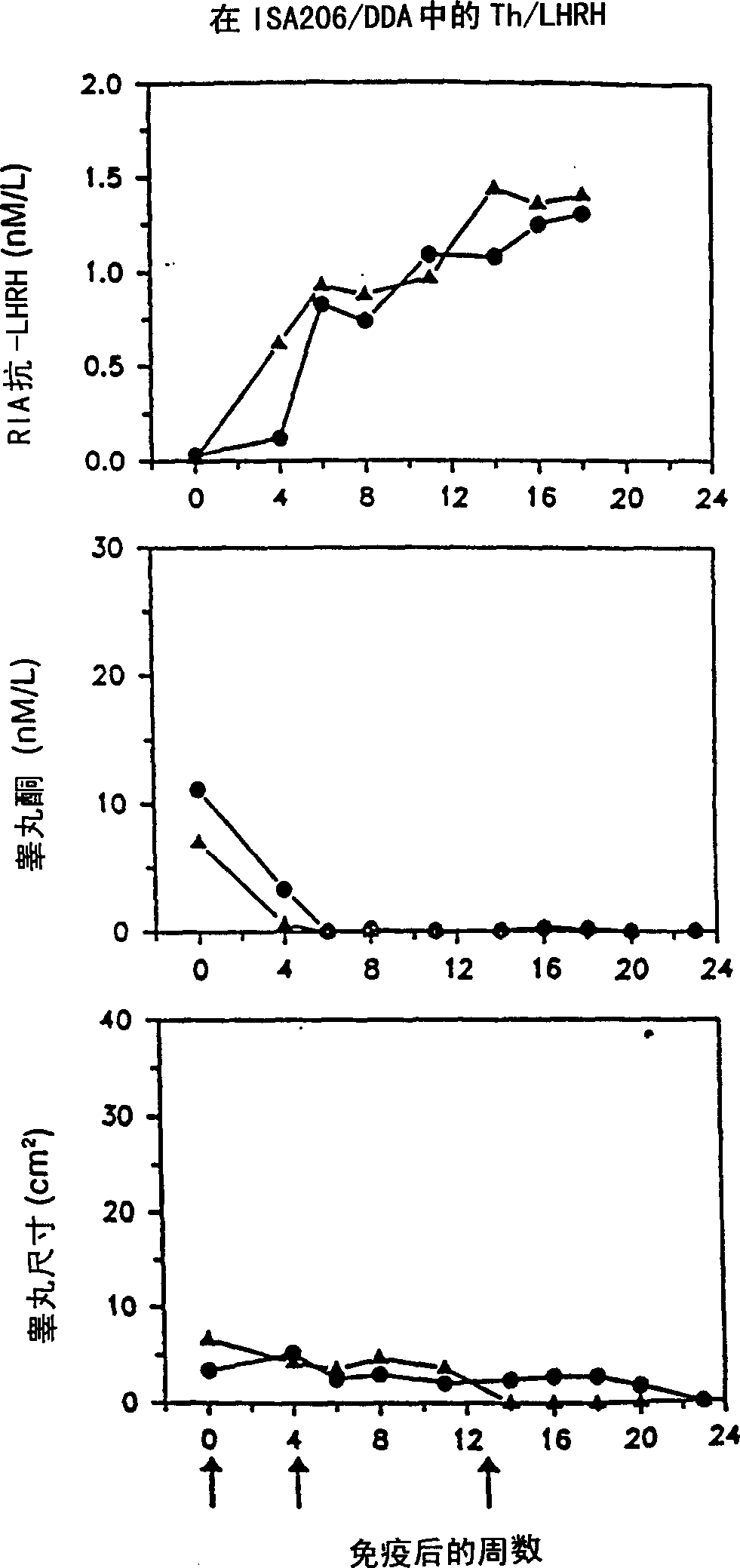 Artificial T helper cell epitopes as immune stimulators for synthetic peptide immunogens including immunogenic LHRH peptides