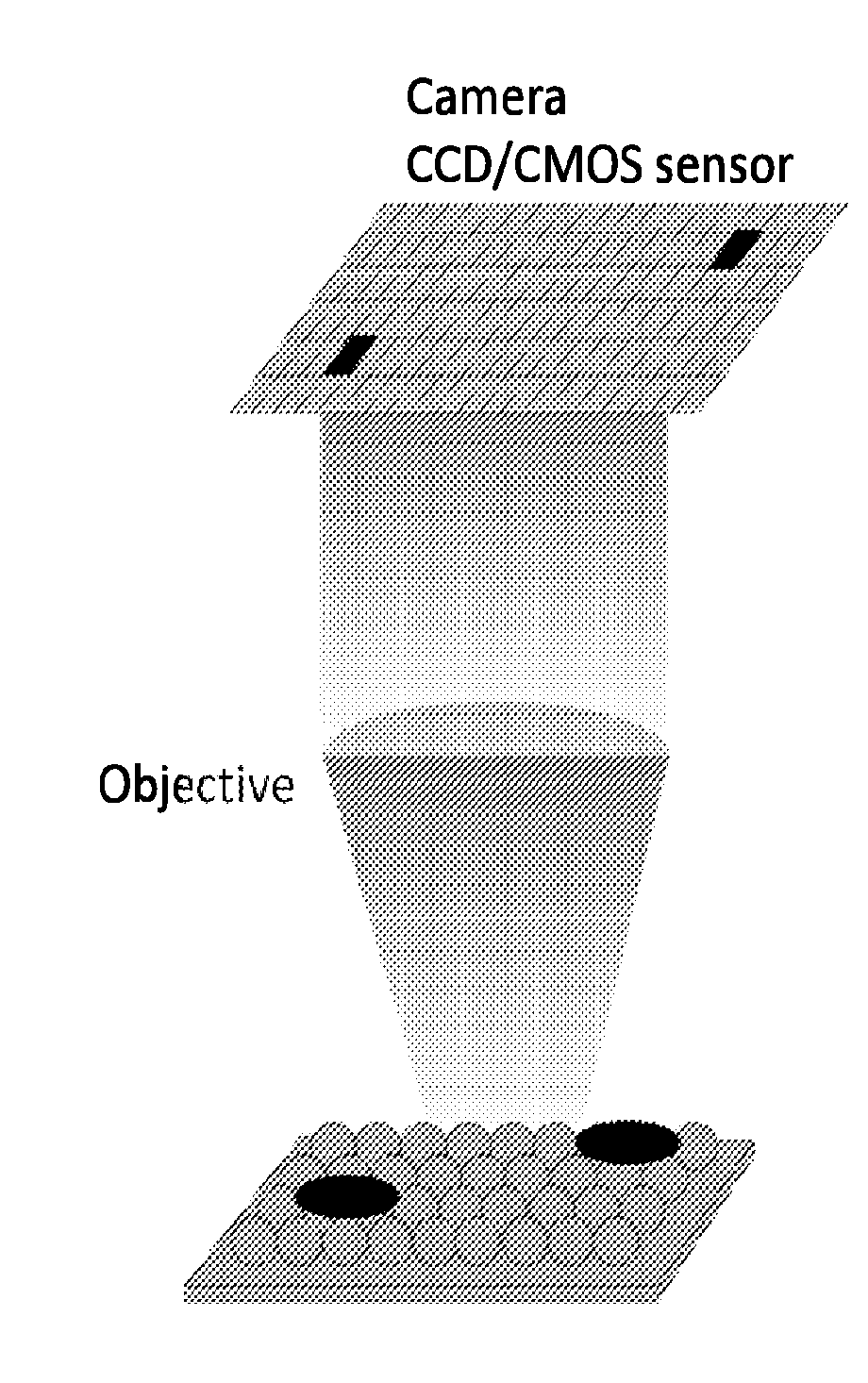 Plasmonic nanoparticles and lspr-based assays