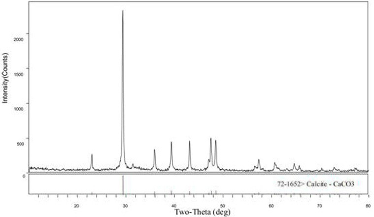 Method of Consolidating Clay Subgrade Using Carbon-fixing Bacteria Mineralization