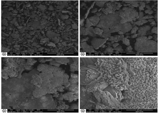 Method of Consolidating Clay Subgrade Using Carbon-fixing Bacteria Mineralization