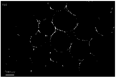 Preparation method for cadmium molybdate porous spheres