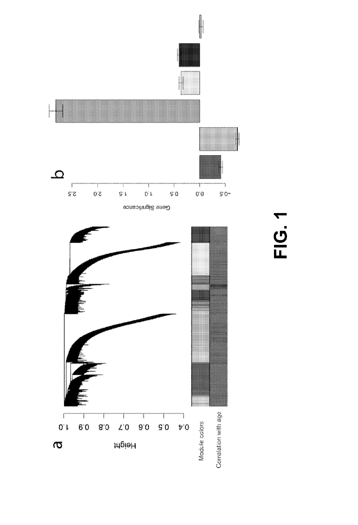 Method to estimate age of individual based on epigenetic markers in biological sample