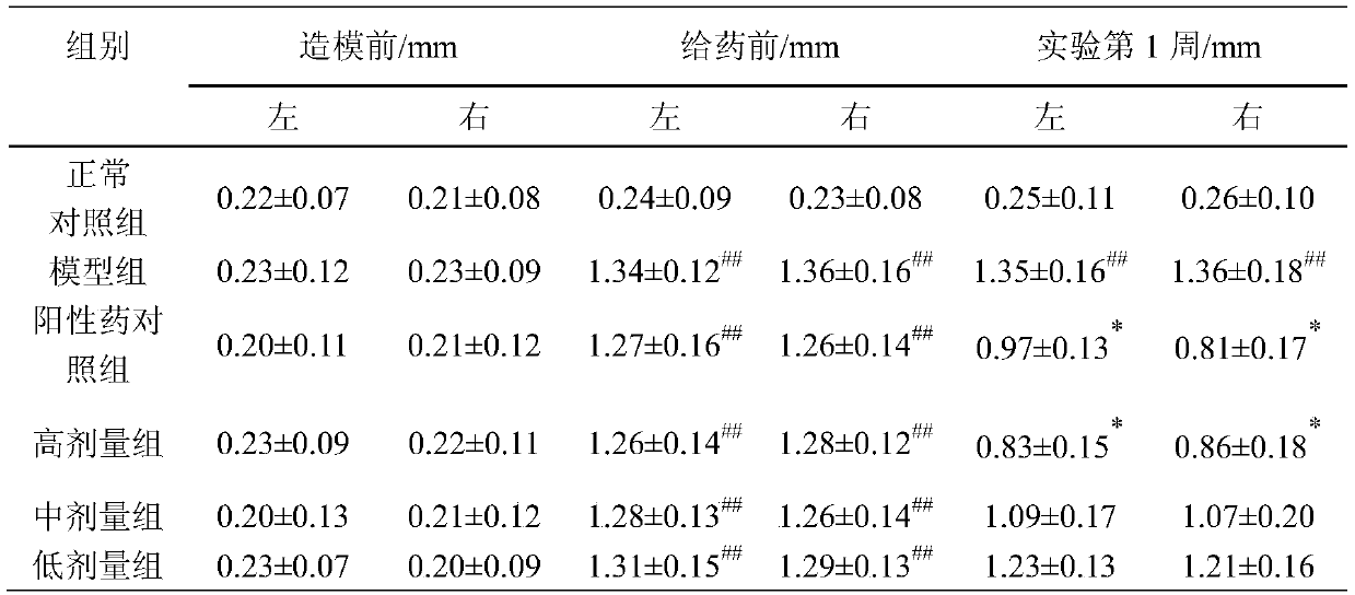 Traditional Chinese medicine composition for treating osteoarthritis and preparation method and application of traditional Chinese medicine composition