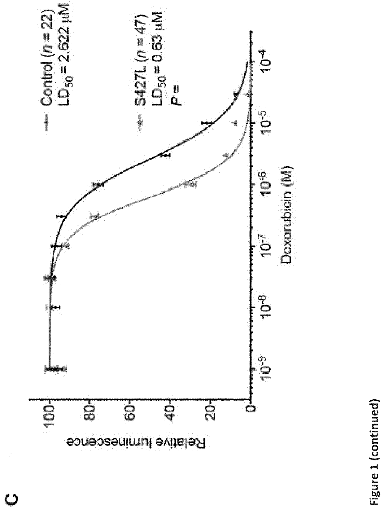 Retinoic acid receptor gamma agonists to attenuate anthracycline-induced cardiotoxicity