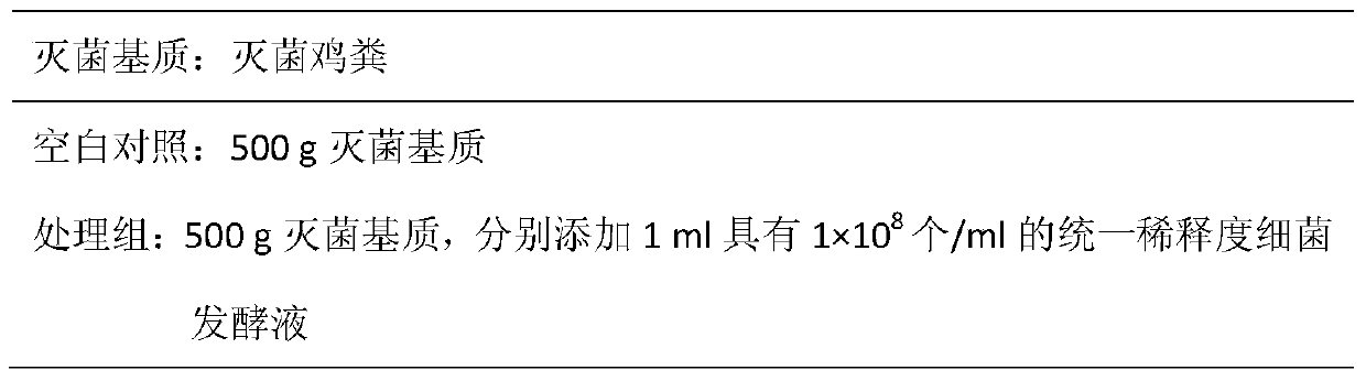 A compound bacterial agent for promoting the growth of trout fly larvae and its application