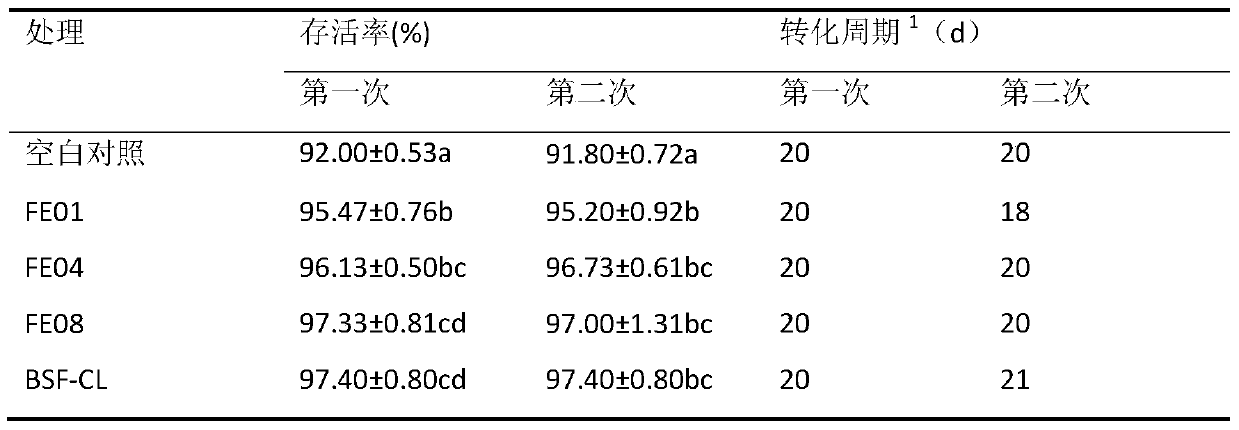 A compound bacterial agent for promoting the growth of trout fly larvae and its application